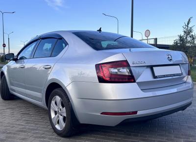 Фото Skoda Octavia