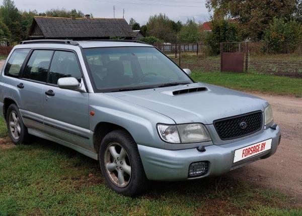 Subaru Forester, 2001 год выпуска с двигателем Бензин, 15 668 BYN в г. Минск