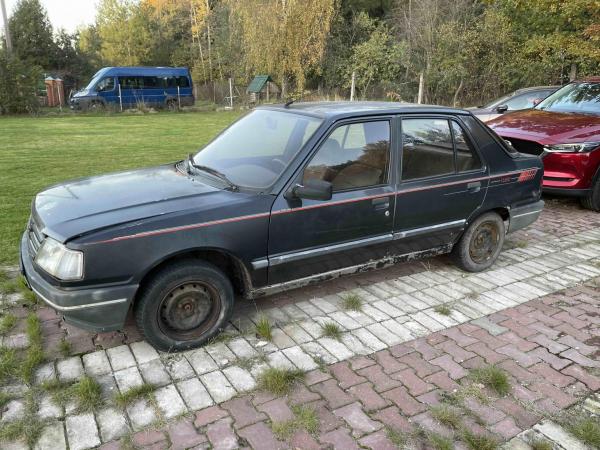 Peugeot 309, 1992 год выпуска с двигателем Бензин, 1 659 BYN в г. Минск