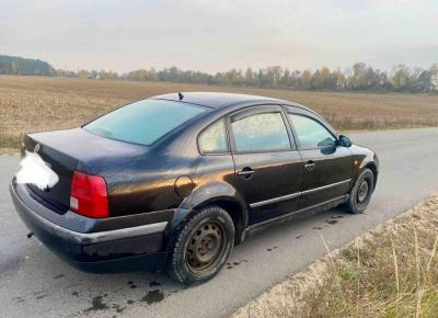 Фото Volkswagen Passat