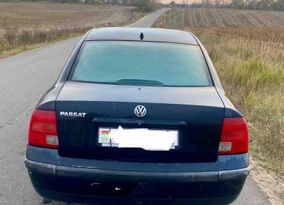 Фото Volkswagen Passat