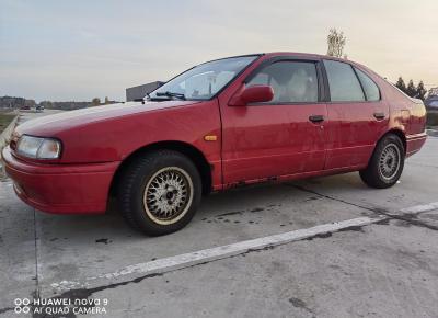 Фото Nissan Primera