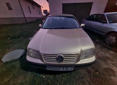 Фото Volkswagen Bora