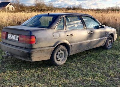 Фото Volkswagen Passat