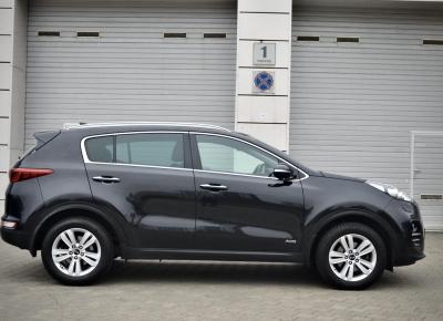 Фото Kia Sportage