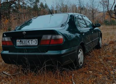 Фото Nissan Primera