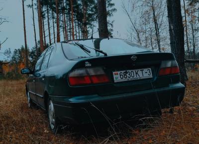 Фото Nissan Primera