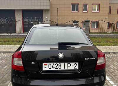 Фото Skoda Octavia