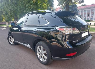 Фото Lexus RX