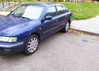 Фото Nissan Primera