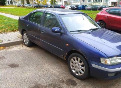 Фото Nissan Primera