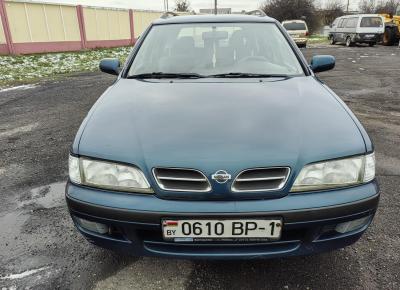 Фото Nissan Primera