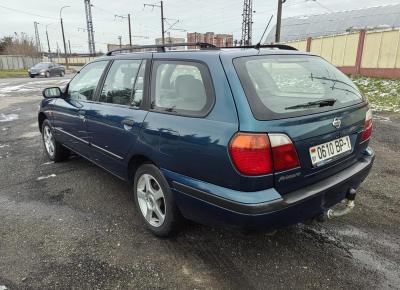 Фото Nissan Primera