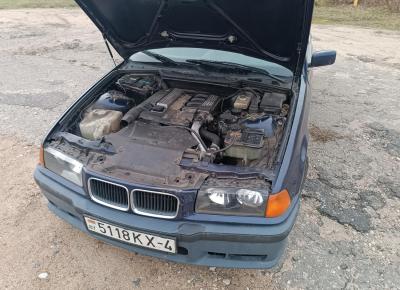 Фото BMW 3 серия