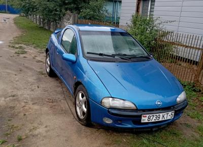 Фото Opel Tigra