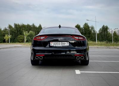 Фото Kia Stinger