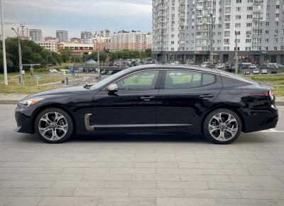 Фото Kia Stinger