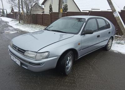 Фото Toyota Corolla