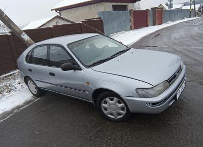 Фото Toyota Corolla