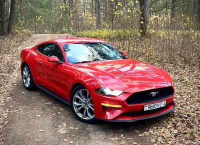 Фото Ford Mustang