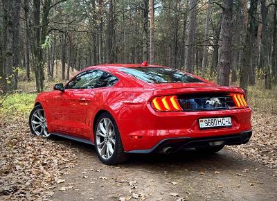 Фото Ford Mustang