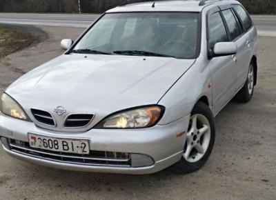 Фото Nissan Primera