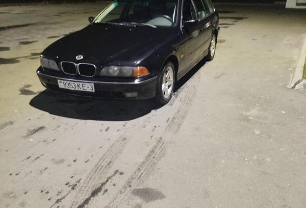 BMW 5 серия, 1999 год выпуска с двигателем Дизель, 13 265 BYN в г. Житковичи