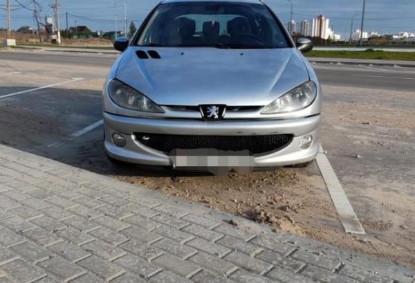 Peugeot 206, 2003 год выпуска с двигателем Бензин, 6 681 BYN в г. Витебск