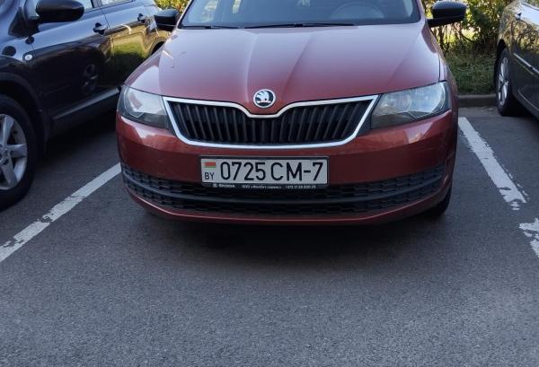 Skoda Rapid, 2015 год выпуска с двигателем Бензин, 31 236 BYN в г. Минск