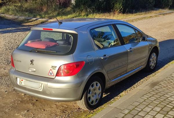 Peugeot 307, 2002 год выпуска с двигателем Дизель, 13 559 BYN в г. Могилёв