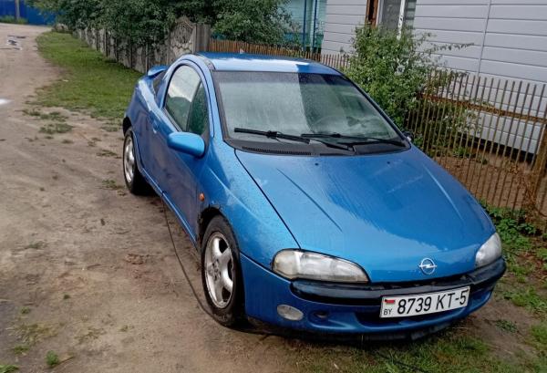 Opel Tigra, 2000 год выпуска с двигателем Бензин, 5 202 BYN в г. Борисов