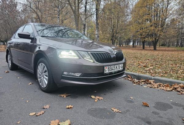 Skoda Octavia, 2017 год выпуска с двигателем Бензин, 60 659 BYN в г. Гродно