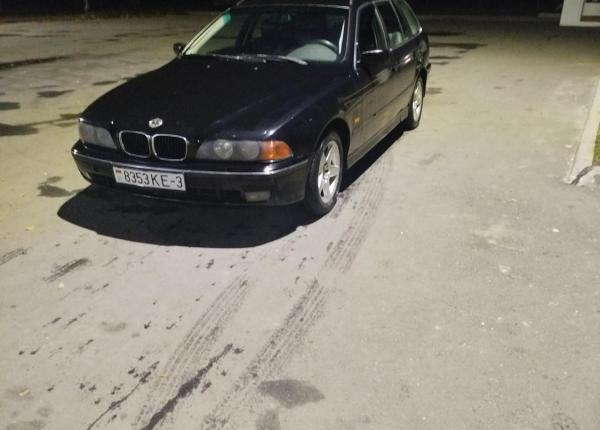 BMW 5 серия, 1999 год выпуска с двигателем Дизель, 13 265 BYN в г. Житковичи