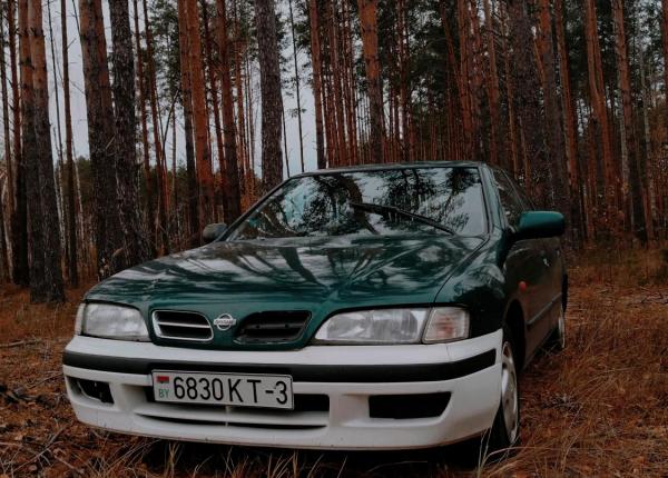 Nissan Primera, 1997 год выпуска с двигателем Бензин, 3 165 BYN в г. Ельск