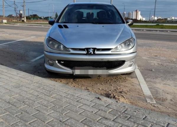 Peugeot 206, 2003 год выпуска с двигателем Бензин, 6 681 BYN в г. Витебск