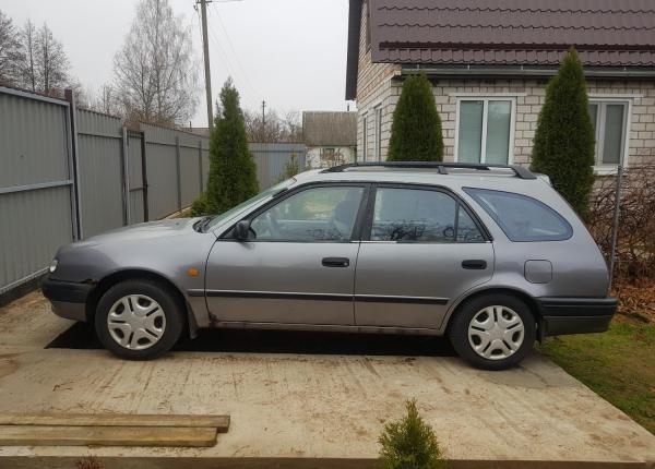 Toyota Corolla, 1998 год выпуска с двигателем Бензин, 6 075 BYN в г. Минск