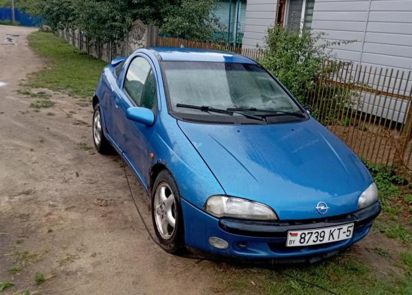 Opel Tigra, 2000 год выпуска с двигателем Бензин, 5 202 BYN в г. Борисов