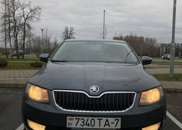 Skoda Octavia, 2014 год выпуска с двигателем Бензин, 31 947 BYN в г. Минск