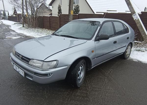 Toyota Corolla, 1994 год выпуска с двигателем Бензин, 5 209 BYN в г. Заславль