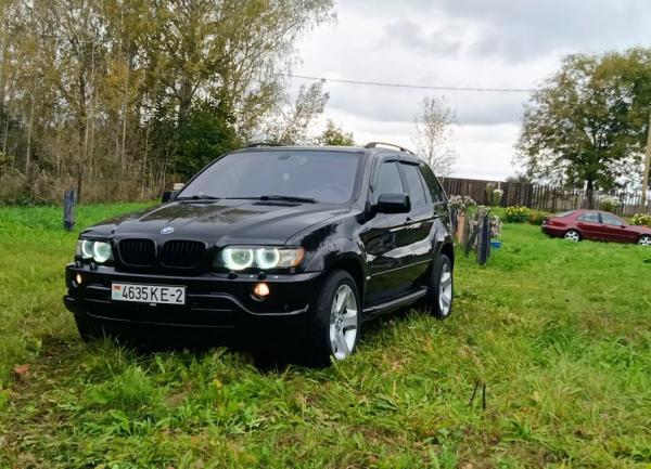 BMW X5, 2001 год выпуска с двигателем Дизель, 37 656 BYN в г. Чашники