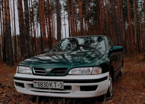 Nissan Primera, 1997 год выпуска с двигателем Бензин, 3 165 BYN в г. Ельск