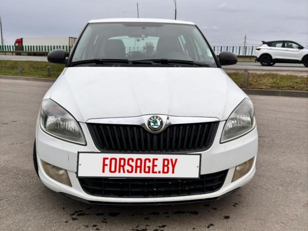 Skoda Fabia, 2010 год выпуска с двигателем Бензин, 18 262 BYN в г. Минск