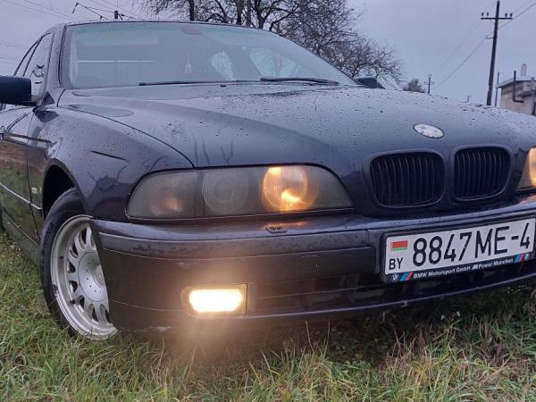 BMW 5 серия, 1999 год выпуска с двигателем Дизель, 13 559 BYN в г. Барановичи