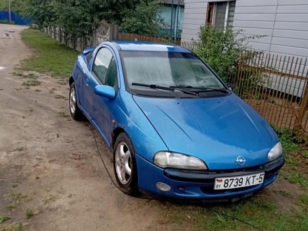 Opel Tigra, 2000 год выпуска с двигателем Бензин, 5 202 BYN в г. Борисов