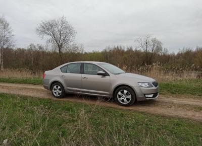 Фото Skoda Octavia