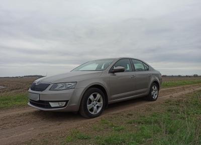 Фото Skoda Octavia