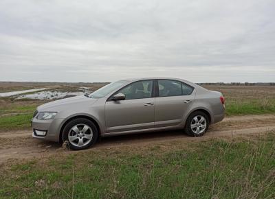 Фото Skoda Octavia