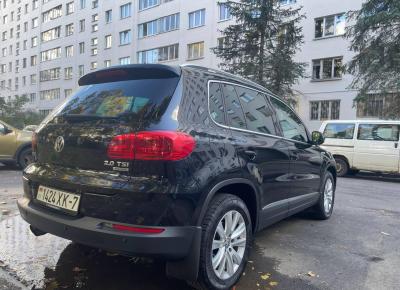 Фото Volkswagen Tiguan