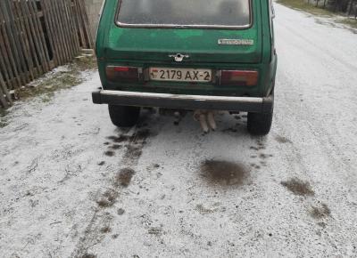 Фото LADA (ВАЗ) 2121 (4x4)