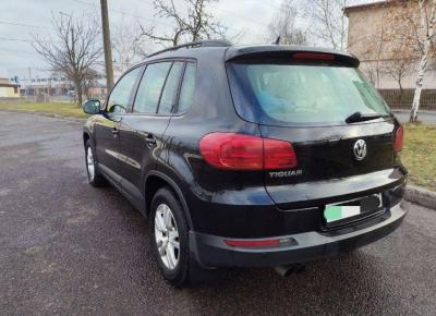 Фото Volkswagen Tiguan